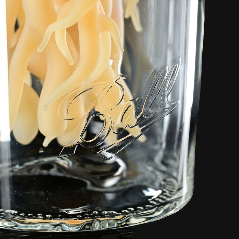 710 Pipes Smoke Shop Alec & Ryedeyer Potato Jar rig featuring intricate tan glass sculpture inside a clear Ball jar.