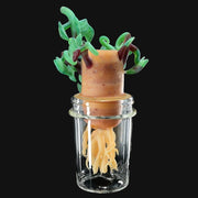 710 Pipes Smoke Shop Ryedeyer x AlecBlowsGlass potato jar rig with green sprouts and 14mm glass design.