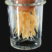 710 Pipes Smoke Shop collaboration glass rig featuring a brown potato-textured top and cream-colored root tentacles.