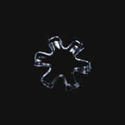 Black-Market-Glass-Quartz-Flake---11mm-6-Blades--121039-box