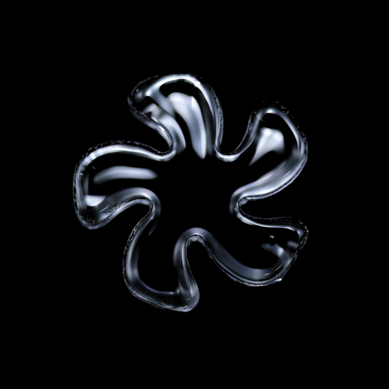 Black Market Glass Quartz Flake - 14mm/5 Blades
