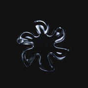 Black-Market-Glass-Quartz-Flake---14mm-6-Blades--121029-box