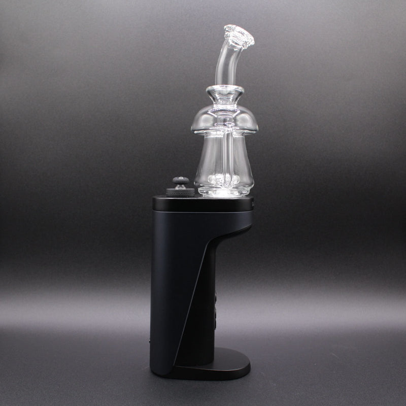 Kadabra Switch 2 Mushroom Top