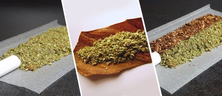 Three adjacent photos of ground herb on rolling papers