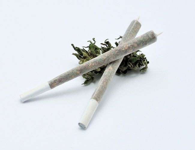 Two joints with twisted tips packed tightly with legal herb resting against cannabis leaf