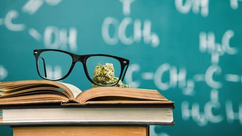 Cannabis nugget on book with glasses and chalkboard