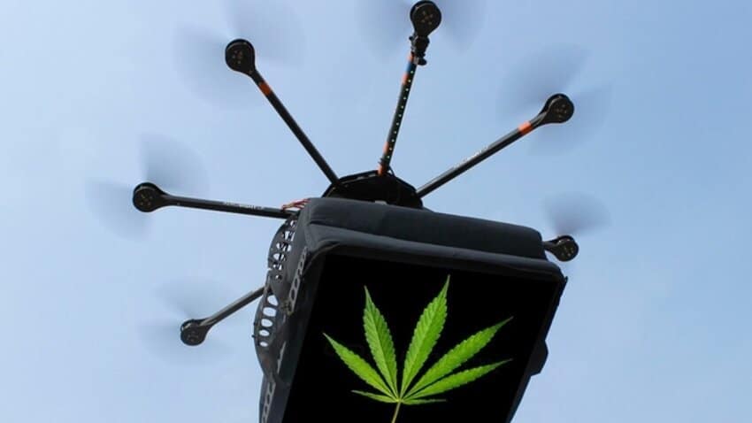 Illustration of a delivery drone with a cannabis leaf icon on a screen