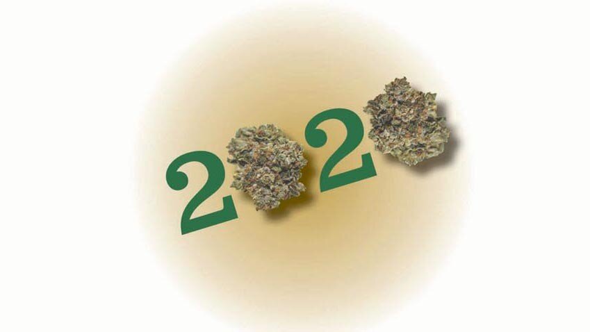 2020 written in green with cannabis nuggets in place of 0s