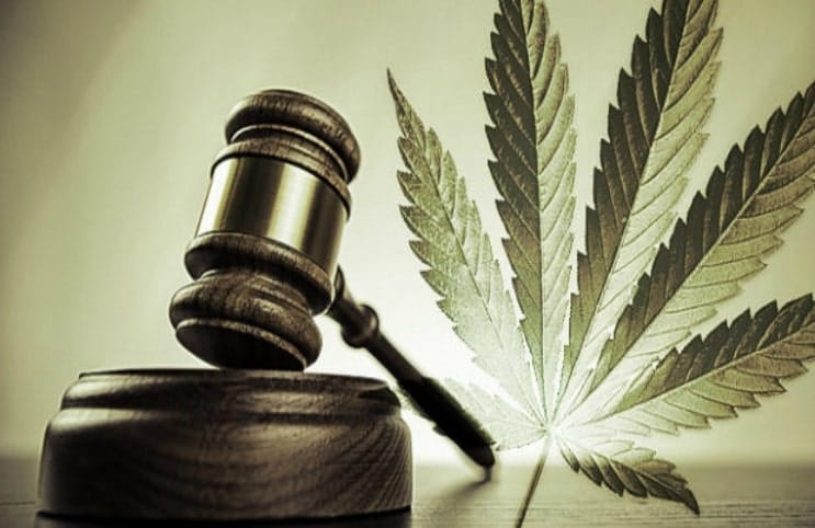 Illustrated cannabis leaf beside pounding gavel