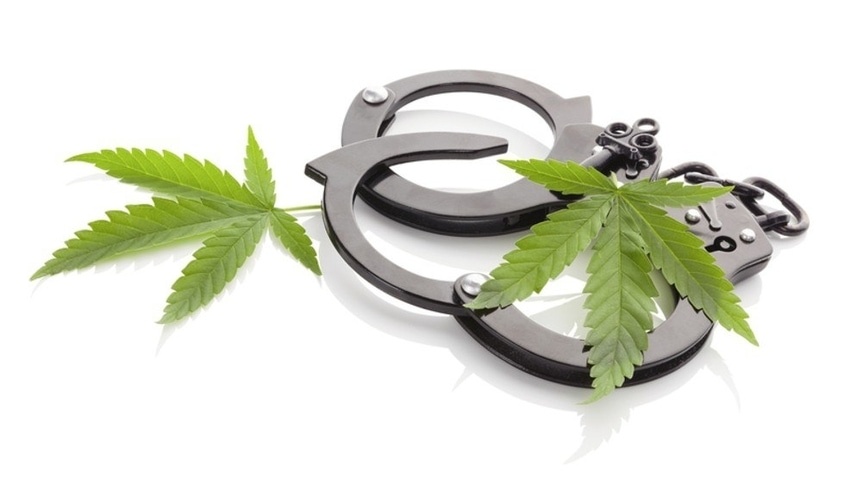 Animation of cannabis leaves above closed handcuffs