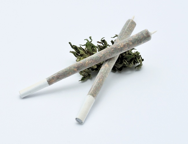 Two joints with twisted tips packed tightly with legal herb resting against cannabis leaf