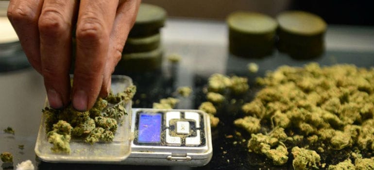 Hand placing cannabis nuggets onto scale for weighing