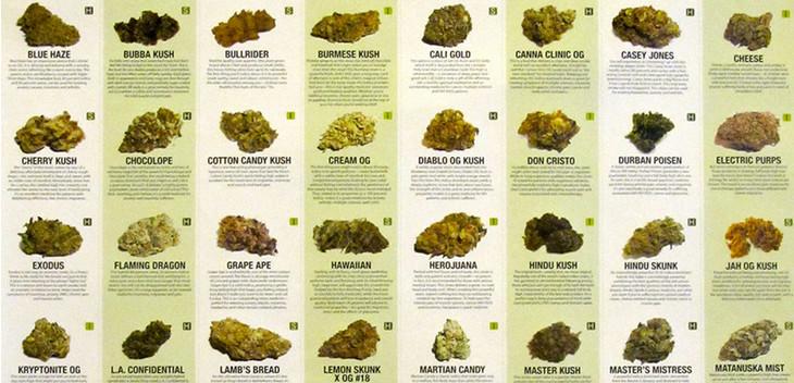 Grid of 32 cannabis strains with images and descriptions