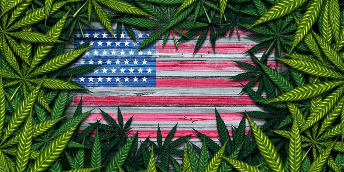 Animation of American flag and surrounding cannabis leaves