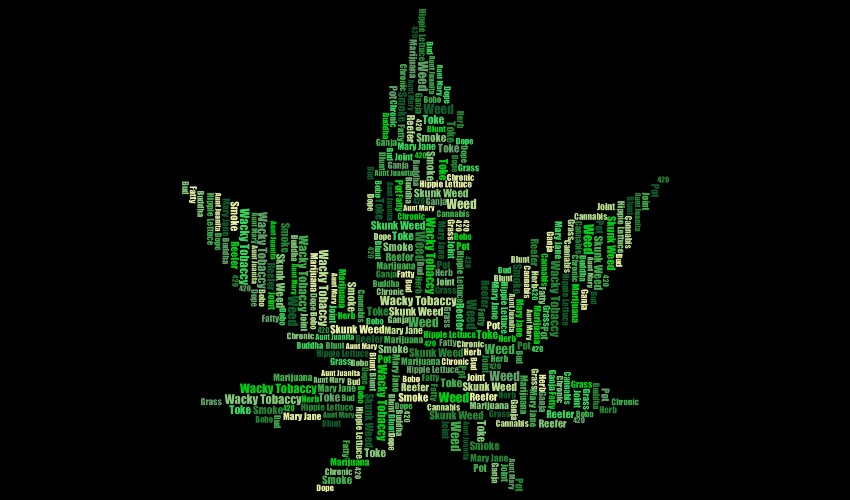 Slang words for "cannabis" forming shape of a cannabis leaf