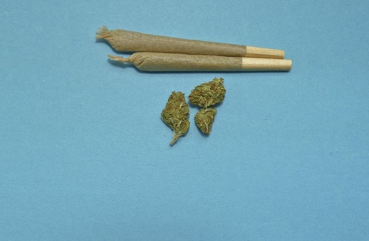 Two joints rolled in hemp rolling paper with filters beside two nuggets of cannabis
