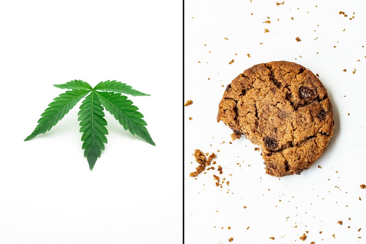 Cannabis leaf beside cookie with missing bite and stray crumbs