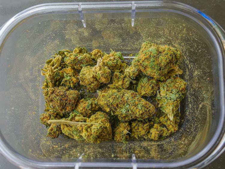 Cannabis nuggets at bottom of glass tupperware storage container
