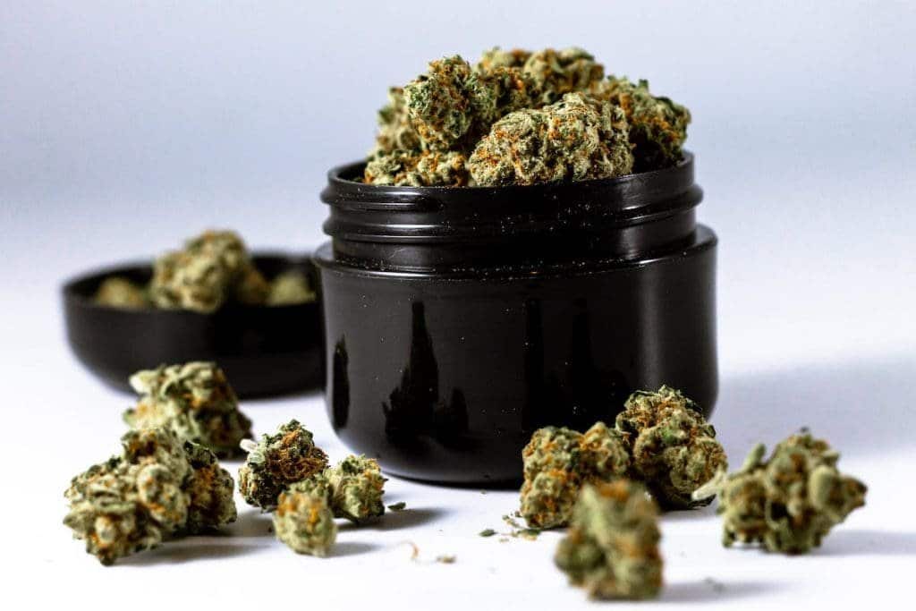 Cannabis nuggets in black plastic storage container