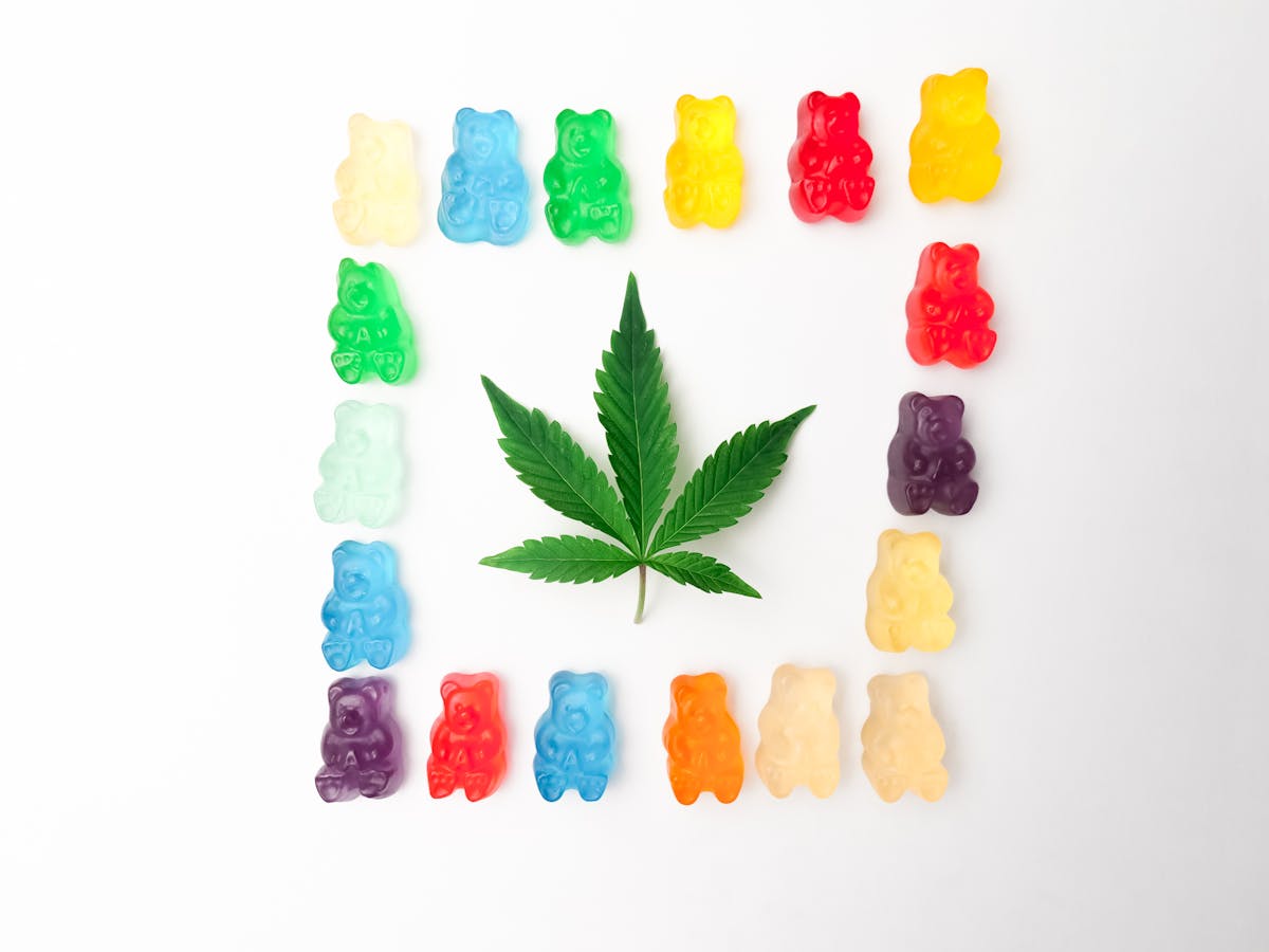 Multicolored cannabis gummies surrounding single pot leaf