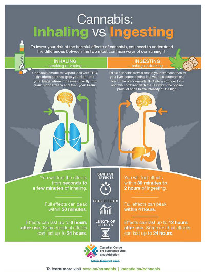 Edibles vs Smoking Infographic