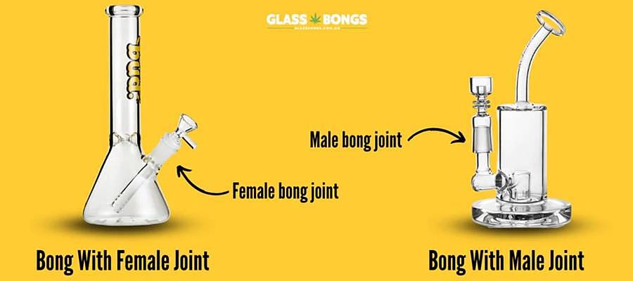 Infographic comparing bongs with male and female joints