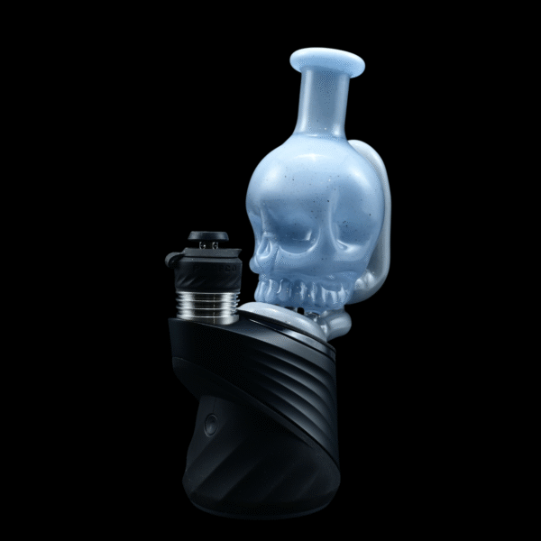 Shaggy Skull Peak Top #2