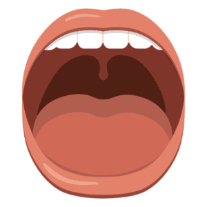 image of an open mouth with no saliva