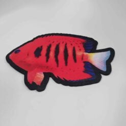 Moodmats Fish in red, fish-shaped mat